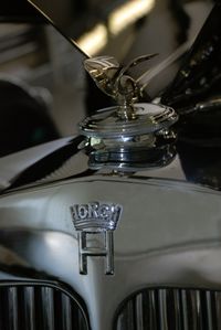 Horch_2